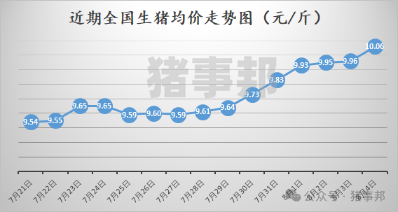 猪事邦||8月4日猪价汇总（日均价破10元/斤，周均价连涨5周！）