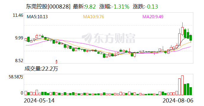 国资联手竞拍20%股权 东莞证券股东座次或将生变  第1张