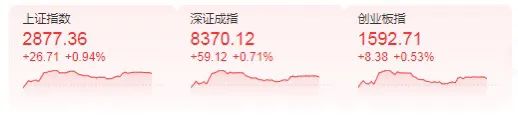 今日，全线上涨！机构：投资机会正在孕育  第1张