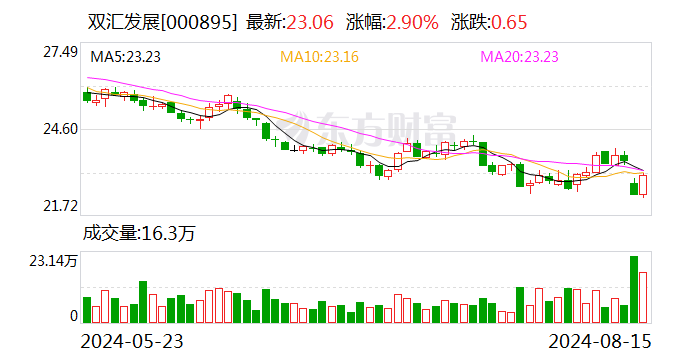 双汇发展发布半年报：上半年营收276亿元 肉制品新渠道销量增超40%  第1张