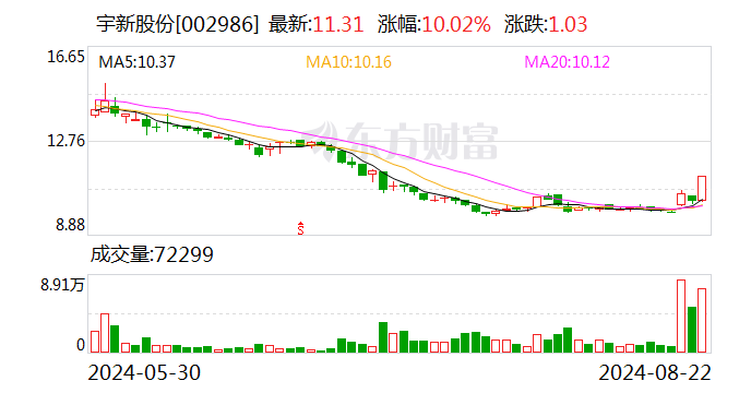 石油石化板块震荡回暖 宇新股份涨停  第1张