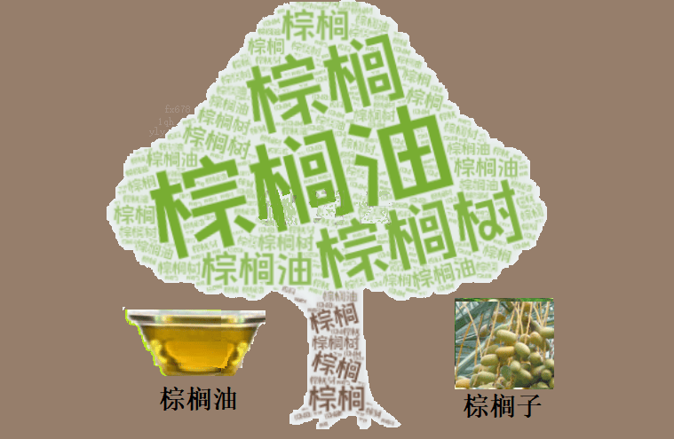 市场再掀波澜！棕榈油能否在原油涨势中找到支撑？  第1张