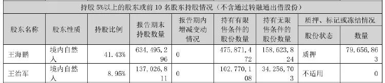 美盈森实控人同意偿还逾10亿元债务，所持全部股份仍冻结  第3张