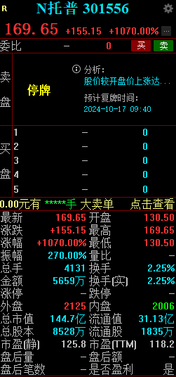 新股N托普大涨1070% 触发临时停牌  第2张