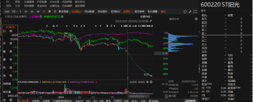 江苏阳光有非经营性资金占用和业绩预告变脸！