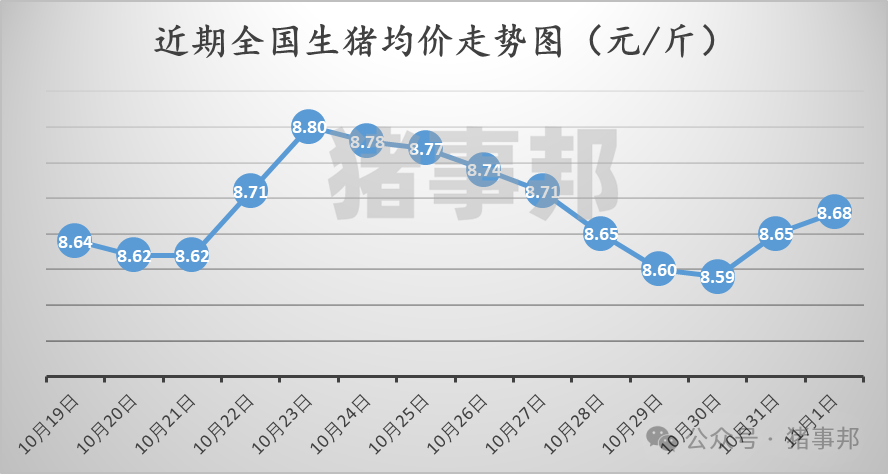 11月1日猪价汇总（主线涨，但情绪又转弱了！）  第3张