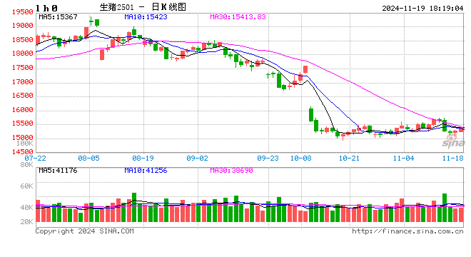 每日猪讯11.19  第2张