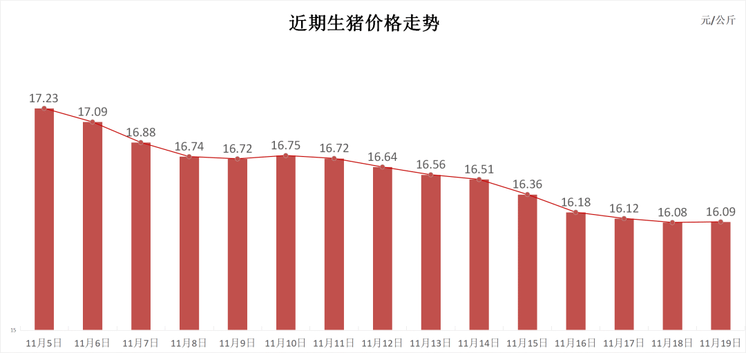 每日猪讯11.19  第3张