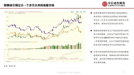 【月度策略】生物燃料前景担忧施压油脂，关注印尼棕榈油卖货情况  第4张