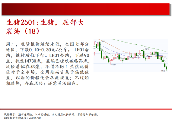 中天期货:棕榈再度探顶 橡胶重心上移  第8张